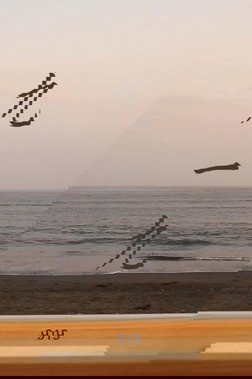 919