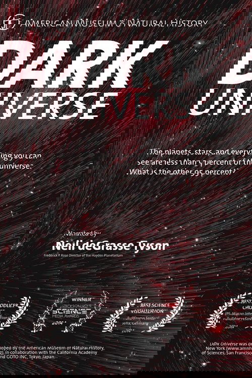 Dark Universe