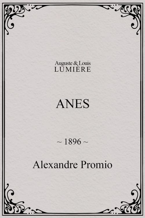 Anes