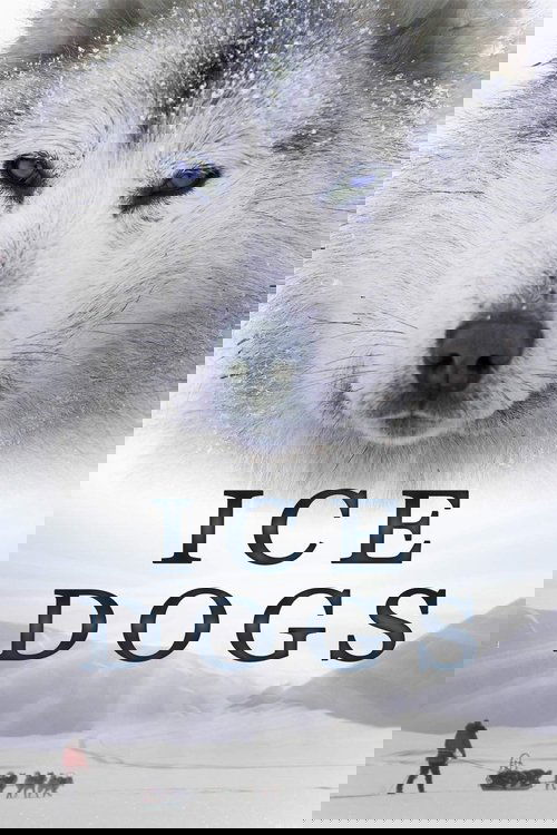 Ice Dogs: The Only Companions Worth Having